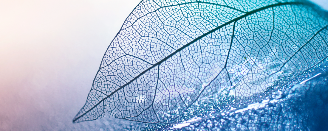 Improving Physician Well-Being, Restoring Meaning in Medicine